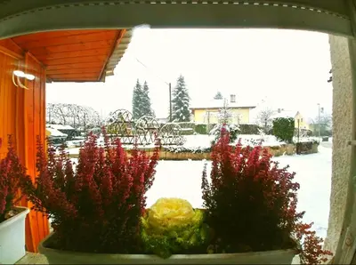 a window with a view of a snow covered yard at Apartma Franko in Cerklje na Gorenjskem