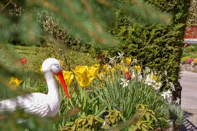 a white duck standing in a garden with flowers at Apartma Franko in Cerklje na Gorenjskem