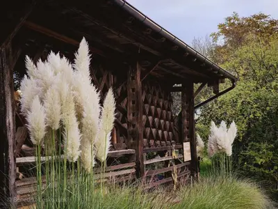 a wooden cabin with pampas grass in front of it at Panorama Glamping Visole in Slovenska Bistrica
