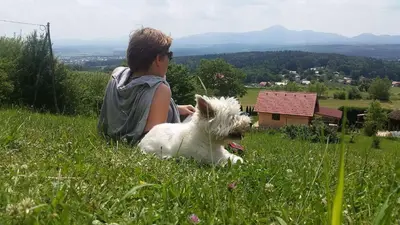 a man sitting in the grass with a dog at Panorama Glamping Visole in Slovenska Bistrica