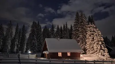 a cabin covered in snow at night with trees at Cosy Chalet on Pokljuka - Brunarica Tinkara in Zgornje Gorje
