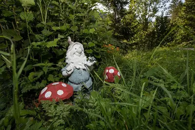 a stuffed animal sitting in the grass with red mushrooms at Holiday Home Voje in Bohinj