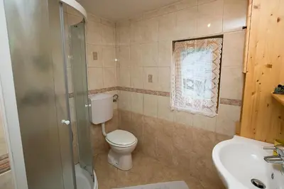 a bathroom with a toilet and a shower and a sink at Holiday Home Voje in Bohinj