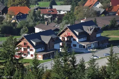 a group of houses in a residential neighborhood at Apartmajsko naselje Ribniško Pohorje in Ribnica na Pohorju