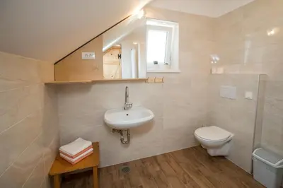 a bathroom with a sink and a toilet at TriSa apartments Bohinj in Bohinj