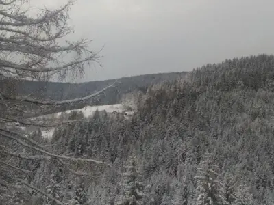 a snow covered hillside with trees and a mountain at Apartment House Koprivnik in Zreče