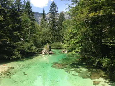 a river with turquoise water in a forest at Apartma NEVA in Bohinj