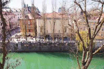 a green body of water with buildings in the background at Julija&Robert's Riverview Apartments and Rooms in Ljubljana