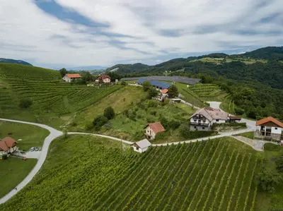 an aerial view of a vineyard with houses and a road at Apartment Velbana Gorca in Virštanj