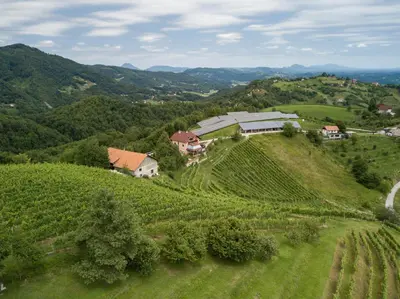an aerial view of a vineyard with a house on a hill at Apartment Velbana Gorca in Virštanj