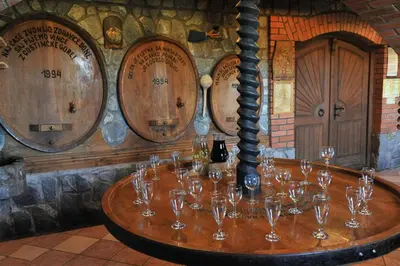 a group of wine glasses on a table in a wine cellar at Apartment Velbana Gorca in Virštanj