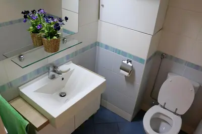 a bathroom with a sink and a toilet at Cosy apartment in Kranjska Gora