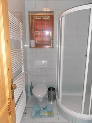 a small bathroom with a toilet and a shower at Apartment Bolfenk in Pohorje