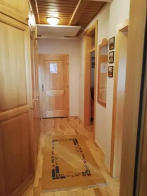 a hallway with a door and a rug on the floor at Apartment Bolfenk in Pohorje