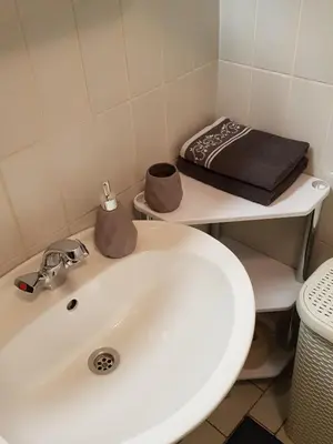 a bathroom with a white sink and a toilet at Apartment HM in Gozd Martuljek