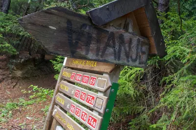 a sign for a hiking trail in the woods at Apartment Sara in Vitanje
