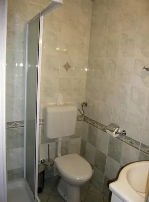 a bathroom with a toilet and a shower at Apartmaji Hribar Pr'Ostank in Kamnik