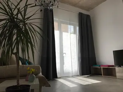 a living room with a potted plant and a window at Street Flat in Ljubljana