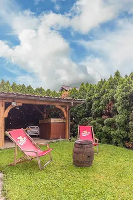 two chairs sitting in the grass in a yard at Apartmaji Seljak in Preddvor