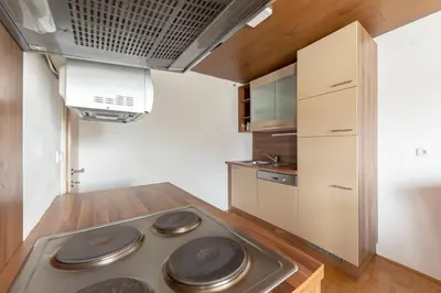 a kitchen with a stove top in a room at Apartmaji Seljak in Preddvor