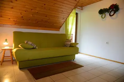 a green couch in a living room with a window at Apartmaji Rabič in Bohinj