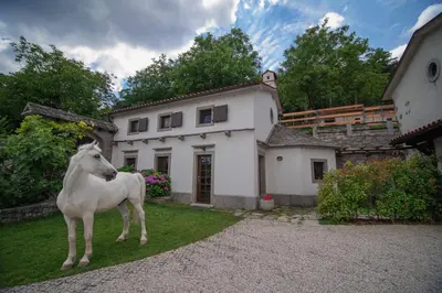 a statue of a white horse in front of a house at Tmbin's barn - nature, horses, family in Sežana