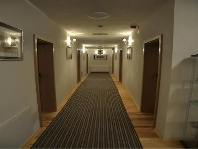 a long hallway with a carpet on the floor at Guesthouse Stari Tišler in Ljubljana