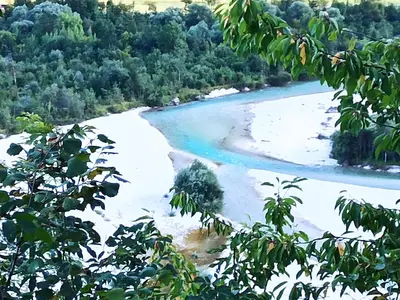 a view of a river from a tree at Apartment Nevela in Bovec
