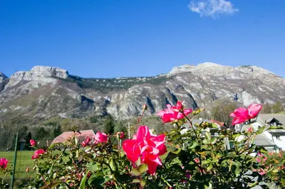 a bush with pink flowers in front of a mountain at Apartment Mavrica in Bovec
