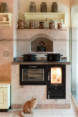 an orange cat sitting in front of an oven at Homestead farm Tešnak in Gorenja Vas