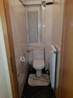 a small bathroom with a toilet and a window at Apartment Milena in Maribor