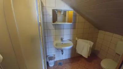 a small bathroom with a sink and a mirror at Bed&Breakfast Zilje in Vinica