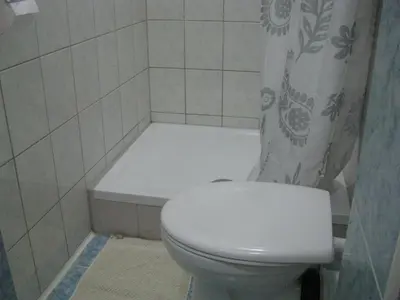 a bathroom with a toilet and a shower curtain at Hiša marjetica in Maribor