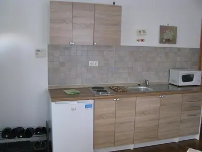 a kitchen with a sink and a white refrigerator at Hiša marjetica in Maribor