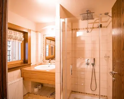a bathroom with a shower and a sink at Vila Triglav on Pokljuka in Goreljek