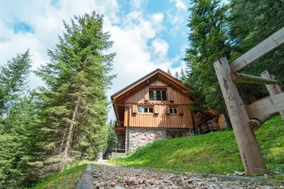 a wooden house on a hill with trees at Vila Triglav on Pokljuka in Goreljek