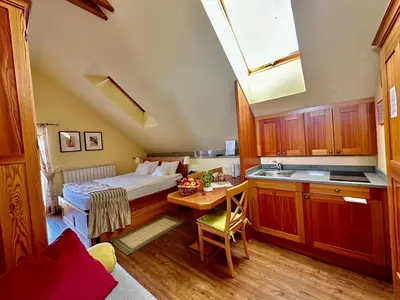 a room with a bed and a kitchen with a table at B&B Villa Angelina in Rogaška Slatina