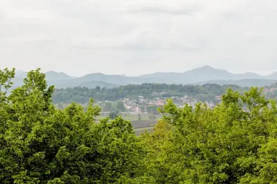 a group of trees with mountains in the background at Green Point in Preserje