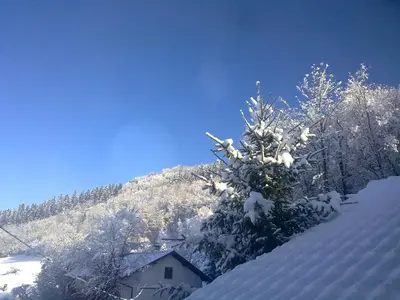 a tree covered in snow next to a house at Green Point in Preserje