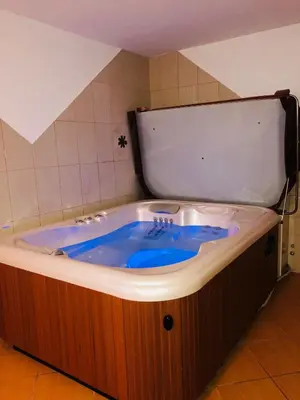 a bath tub with a blue sink in a room at Apartmaji Zlata Lisička in Cerkno