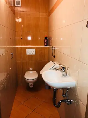 a bathroom with a sink and a toilet at Apartmaji Zlata Lisička in Cerkno