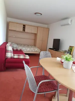 a room with a table and chairs and a couch at Red Rose Apartment in Moravske Toplice