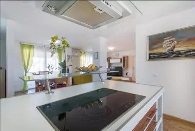 a large kitchen with a large glass counter top at Patricia House in Ljubljana