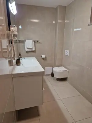 a bathroom with a white sink and a toilet at Patricia House in Ljubljana