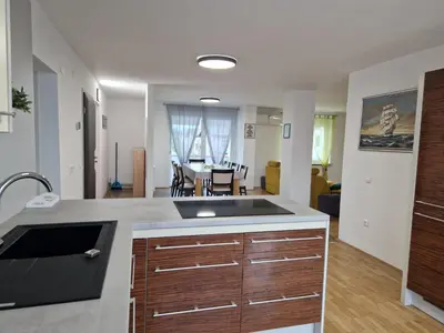 a kitchen with a sink and a living room at Patricia House in Ljubljana