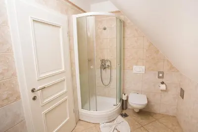 a bathroom with a shower and a toilet at Vila Monet in Laško