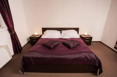 a bedroom with a large bed with two night stands at Vila Monet in Laško