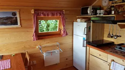 a kitchen with a refrigerator and a table and a window at Gnezdo Vid-ik in Čatež ob Savi