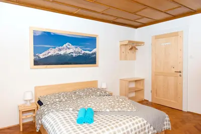 a bedroom with a bed and a snow covered mountain at Vila Lipa in Bled