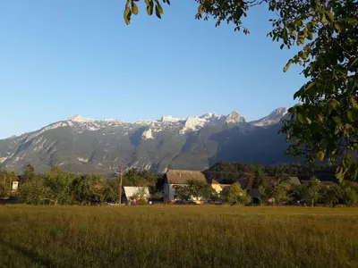 a house in a field with a mountain in the background at Apartma Miko in Bovec